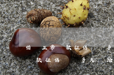 借唄正常還款征信記錄多久刪除-借唄正常還款征信記錄多久刪除一次