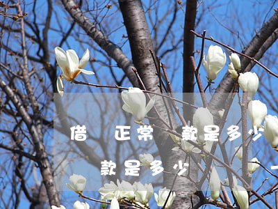 借唄正常還款是多少時間還一次-借唄正常還款是多少時間還一次啊
