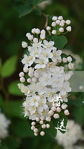借唄每月1號(hào)都會(huì)推送還款提醒嗎-借唄每月1號(hào)都會(huì)推送還款提醒嗎為什么