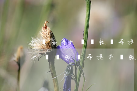 借唄每月5號還款顯示提前還款-借唄每月5號還款顯示提前還款什么意思