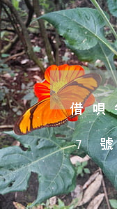 借唄每月7號還款幾號是出賬日-借唄每月7號還款幾號是出賬日嗎