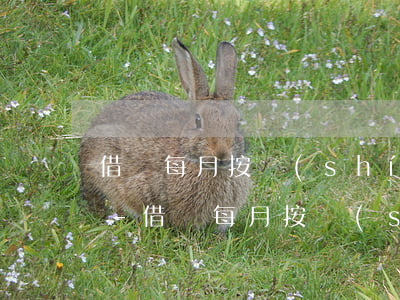 借唄每月按時(shí)還款為什么還停了-借唄每月按時(shí)還款為什么還停了呢