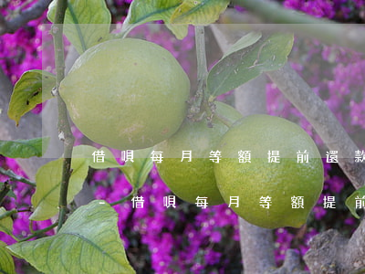 借唄每月等額提前還款有手續(xù)費嗎-借唄每月等額提前還款有手續(xù)費嗎多少錢