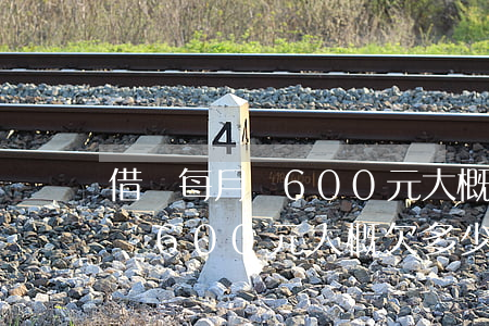 借唄每月還600元大概欠多少-借唄每月還600元大概欠多少錢