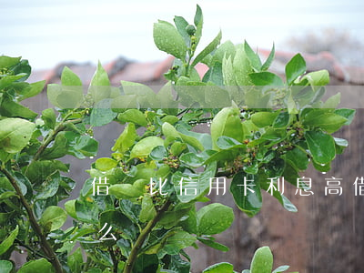 借唄比信用卡利息高(借唄比信用卡利息高怎么辦)