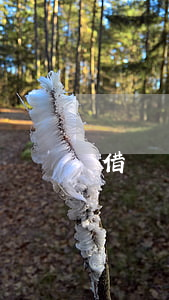 借唄沒(méi)有逾期會(huì)被降額嗎