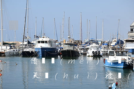 借唄沒(méi)有還款日當(dāng)天會(huì)被關(guān)閉嗎-借唄沒(méi)有還款日當(dāng)天會(huì)被關(guān)閉嗎怎么辦