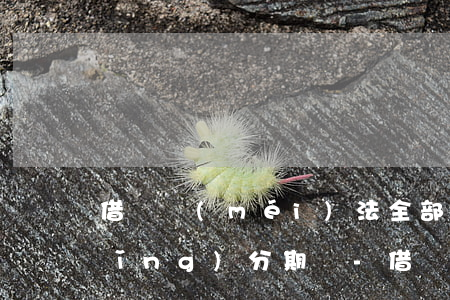 借唄沒(méi)法全部還款可以申請(qǐng)分期嗎-借唄沒(méi)法全部還款可以申請(qǐng)分期嗎怎么辦