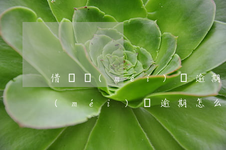 借唄沒(méi)還逾期怎么算利息(借唄沒(méi)還逾期怎么算利息)