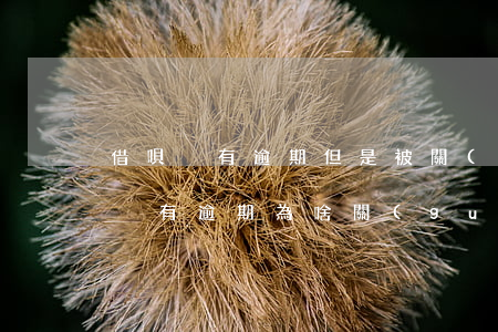 借唄沒有逾期但是被關(guān)了(借唄沒有逾期為啥關(guān)了)