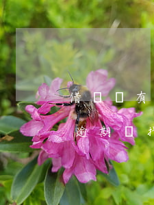 借唄沒有逾期對找工作有影響嗎-借唄沒有逾期對找工作有影響嗎知乎