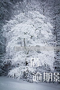 借唄沒有逾期影響公積金辦理嗎-借唄沒有逾期影響公積金辦理嗎