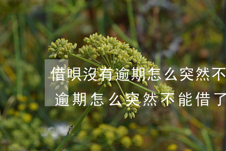 借唄沒有逾期怎么突然不能借了-借唄沒有逾期怎么突然不能借了呢