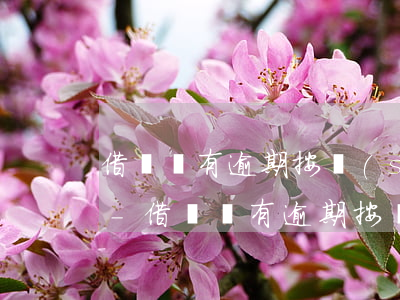 借唄沒有逾期按時(shí)還款有影響嗎-借唄沒有逾期按時(shí)還款有影響嗎知乎