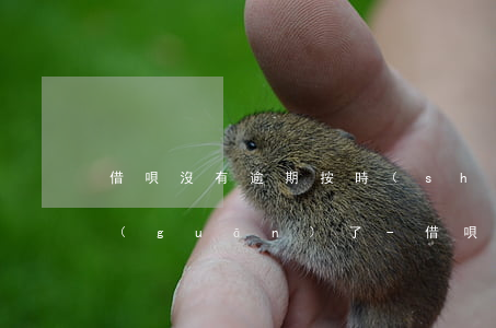 借唄沒有逾期按時(shí)還款為什么關(guān)了-借唄沒有逾期按時(shí)還款為什么關(guān)了呢