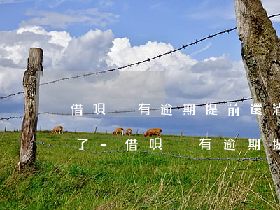 借唄沒有逾期提前還清怎么關(guān)了-借唄沒有逾期提前還清怎么關(guān)了呢