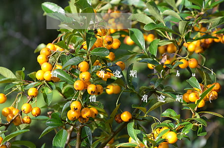借唄沒有逾期會(huì)要求一次性還清嗎-借唄沒有逾期會(huì)要求一次性還清嗎怎么辦