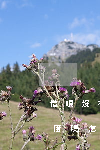 借唄沒有逾期有額度嗎-借唄沒有逾期有額度嗎怎么還款
