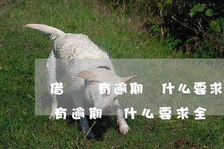 借唄沒有逾期為什么要求全額還款-借唄沒有逾期為什么要求全額還款呢