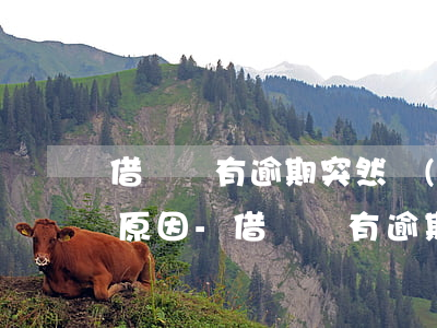 借唄沒有逾期突然關(guān)閉是什么原因-借唄沒有逾期突然關(guān)閉是什么原因呢