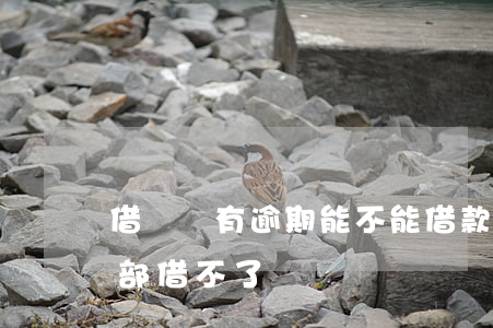 借唄沒有逾期能不能借款(借唄沒逾期突然全部借不了)