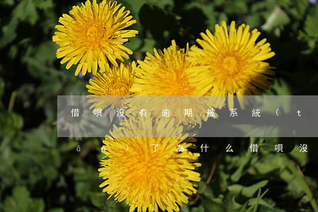 借唄沒有逾期被系統(tǒng)關(guān)了(為什么借唄沒有逾期按時(shí)還款也被關(guān)了)
