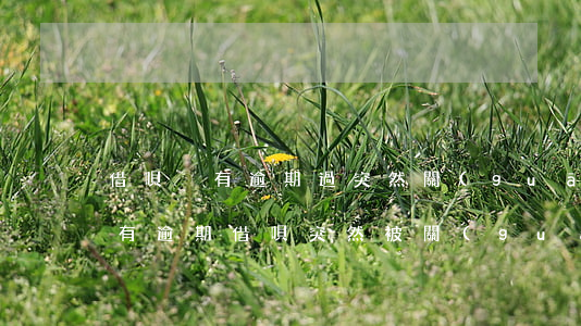 借唄沒有逾期過突然關(guān)閉了(沒有逾期借唄突然被關(guān)閉了怎么回事)
