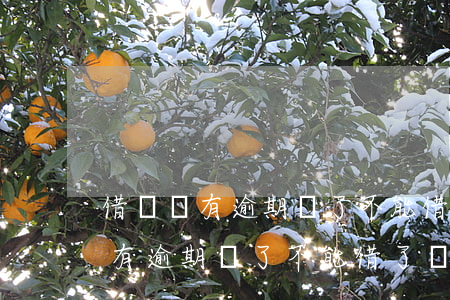 借唄沒有逾期還了不能借了為什么-借唄沒有逾期還了不能借了為什么借不了