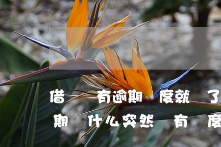 借唄沒有逾期額度就沒了(支付寶借唄沒有逾期為什么突然沒有額度了)