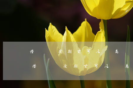借唄沒逾期前可以協商個性化分期還款嗎-借唄沒逾期前可以協商個性化分期還款嗎