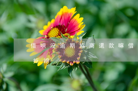 借唄沒逾期協商還款嘛(借唄即將逾期協商被拒絕)