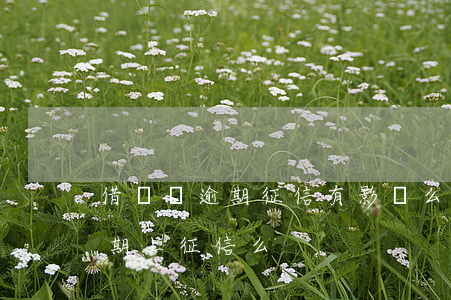 借唄沒逾期征信有影響么(支付寶借唄沒有逾期上征信么)