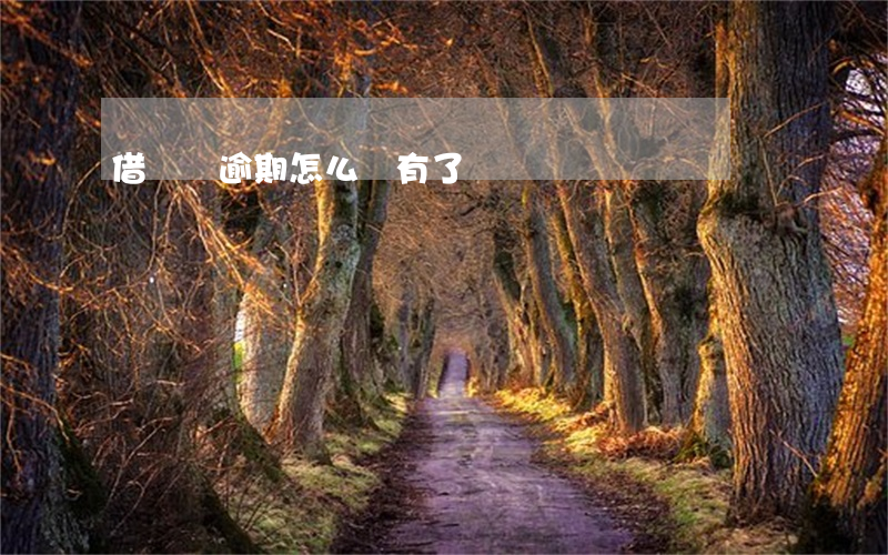 借唄沒逾期怎么沒有了