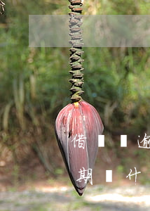 借唄沒逾期憑什么要求一次結清-借唄沒逾期憑什么要求一次結清呢