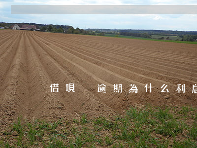 借唄沒逾期為什么利息越來越高-