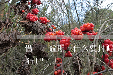 借唄沒逾期為什么要封呢(借唄只要不逾期就行吧)