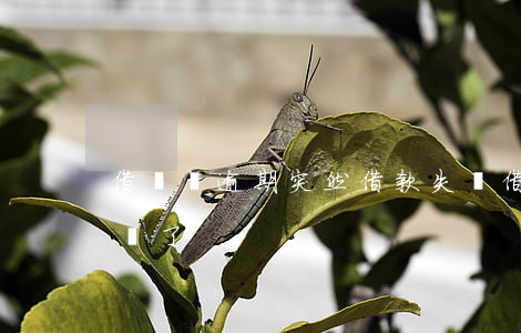 借唄沒逾期突然借款失敗(借唄逾期就借不出來了)