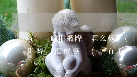 借唄沒逾期被降額怎么恢復(fù)(借唄逾期降額度能恢復(fù)嗎?)