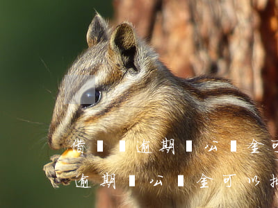 借唄沒逾期貸公積金可以批下來不-借唄沒逾期貸公積金可以批下來不還嗎
