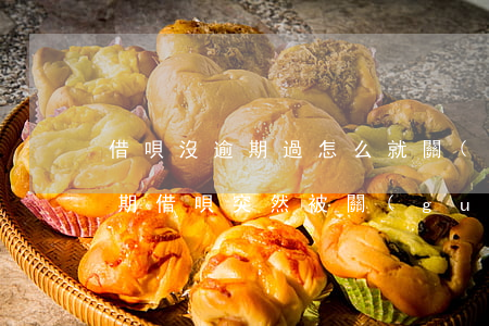 借唄沒逾期過怎么就關(guān)了(沒逾期借唄突然被關(guān)閉)
