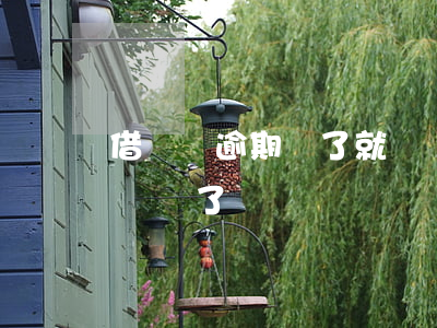 借唄沒逾期還了就給關了(還沒還完借唄就被關閉了)