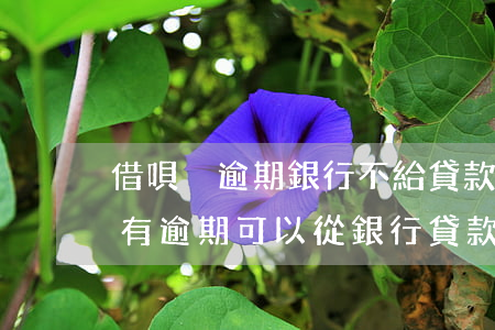 借唄沒逾期銀行不給貸款(借唄有欠款但是沒有逾期可以從銀行貸款嗎)
