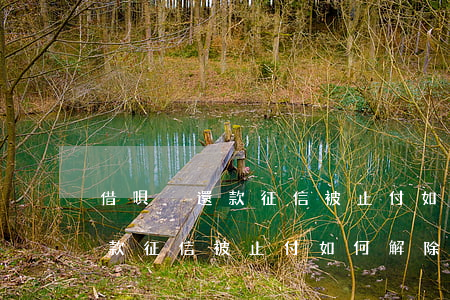 借唄沒還款征信被止付如何解除-借唄沒還款征信被止付如何解除呢