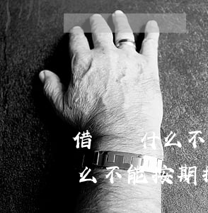 借唄為什么不能按期提前還款了-借唄為什么不能按期提前還款了呢