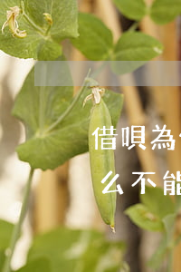 借唄為什么不能選擇余額寶還款-借唄為什么不能選擇余額寶還款方式