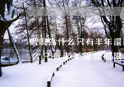 借唄為什么只有半年還款期限了-借唄為什么只有半年還款期限了呢