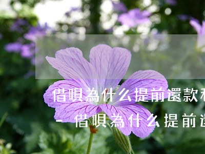 借唄為什么提前還款利息會(huì)降低-借唄為什么提前還款利息會(huì)降低呢