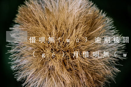 借唄無(wú)逾期被關(guān)7個(gè)月(借唄無(wú)逾期被關(guān)了)