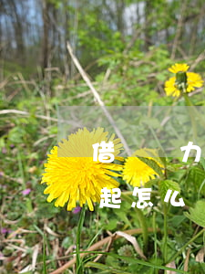 借唄無力償還怎么協(xié)商(借唄還不起怎么協(xié)商)