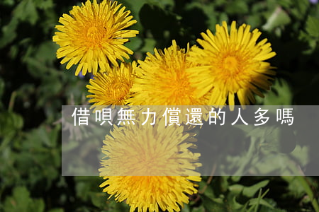 借唄無力償還的人多嗎